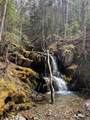 47403 Cabot Trail - Photo 36