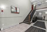 79 Collins Grove - Photo 36