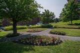 61 Nelsons Landing - Photo 39