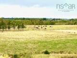 1143 Upper River John Road - Photo 15