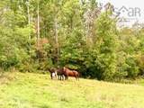 1143 Upper River John Road - Photo 17