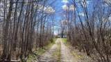 2217 Old Mill Road - Photo 5