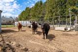 1106 Tetzlaff Road - Photo 31