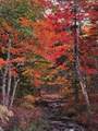 273 Meek Arm Trail - Photo 42