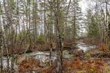 273 Meek Arm Trail - Photo 50