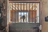 251 Ben Jackson Rd - Photo 43