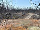 406 Highway 103 - Photo 20