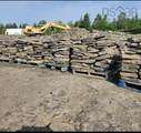 680 Conrod Road - Photo 18
