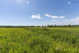 763 Gates Mountain Road - Photo 39