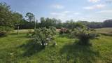 227 Landry Lane - Photo 49