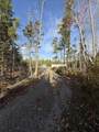 1600 Lingan Road - Photo 41