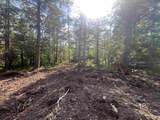 Lot 11 Cooks Brook Road - Photo 21