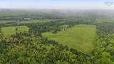 244 Highway 326 - Photo 25