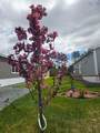 86 Sunrise Court - Photo 15