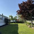533 Young Street - Photo 24