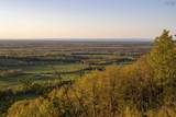 310 Fitzpatrick Mountain Road - Photo 15