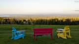 310 Fitzpatrick Mountain Road - Photo 16