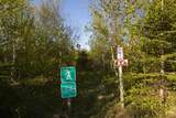 310 Fitzpatrick Mountain Road - Photo 23