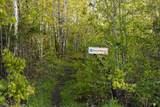 310 Fitzpatrick Mountain Road - Photo 50