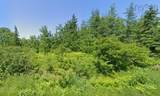  Malagash Road - Photo 1