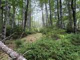  Highway 203 - Photo 10