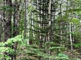  Highway 203 - Photo 12