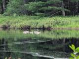  Highway 203 - Photo 3