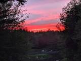  Highway 203 - Photo 5