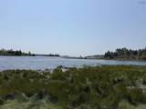 26346 Highway 7 - Photo 49