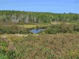 51 Bennie's Lane - Photo 16