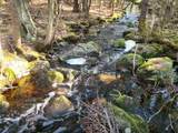 1368 Highway 208 - Photo 11