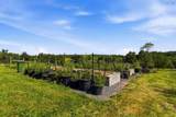 1368 Highway 208 - Photo 12