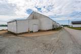 11 Patrice Road - Photo 13