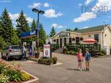 6528 Highway 366 - Photo 1