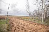 1127 Ferry Road - Photo 48