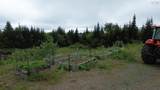 901 Whycocomagh Mountain Road - Photo 4