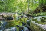 1706 Brookland Road - Photo 45