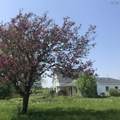 1451 Hansford Road - Photo 46