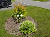 58 Greenhill Drive - Photo 32