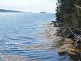  Shad Bay - Photo 11