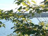  Shad Bay - Photo 12