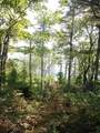  Shad Bay - Photo 16
