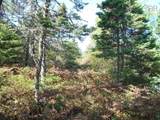  Shad Bay - Photo 17