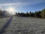 1600 Lingan Road - Photo 39