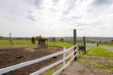 5221 Highway 289 - Photo 19