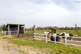 5221 Highway 289 - Photo 20