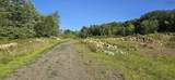  Highway 10 - Photo 16