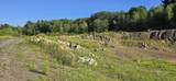  Highway 10 - Photo 18