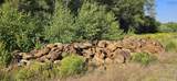  Highway 10 - Photo 20