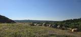  Highway 10 - Photo 26